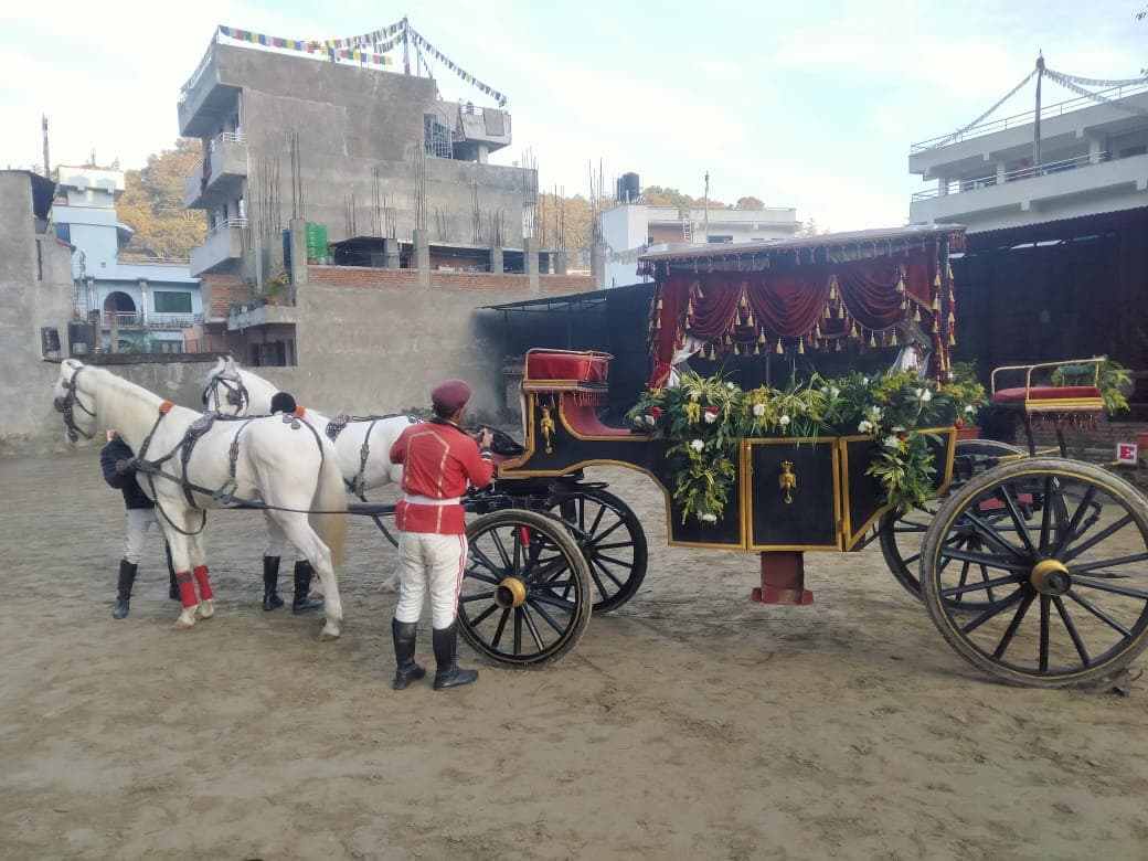 Majestic Horses (Ghoda) for weddings