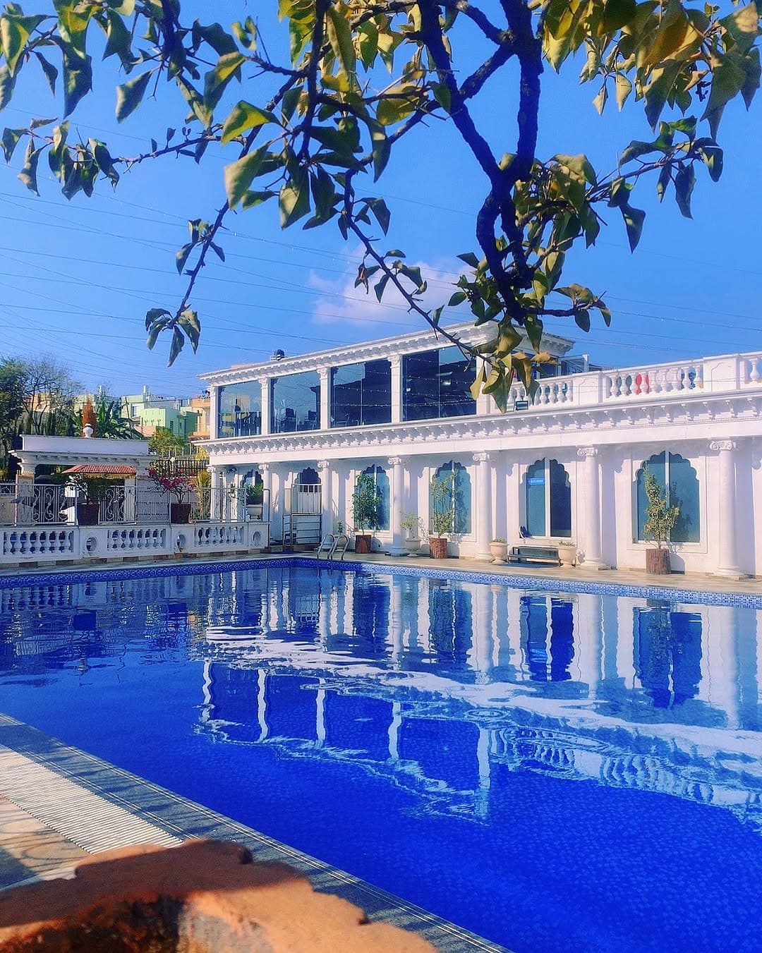 Dream Palace Gallery 8