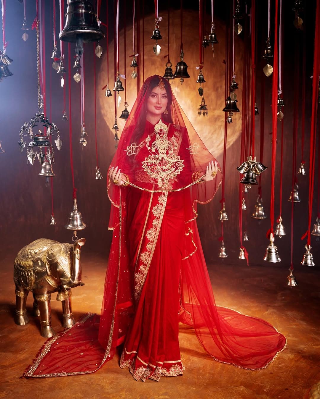 Designer Evening Gown